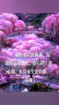 萌萌大眼公主